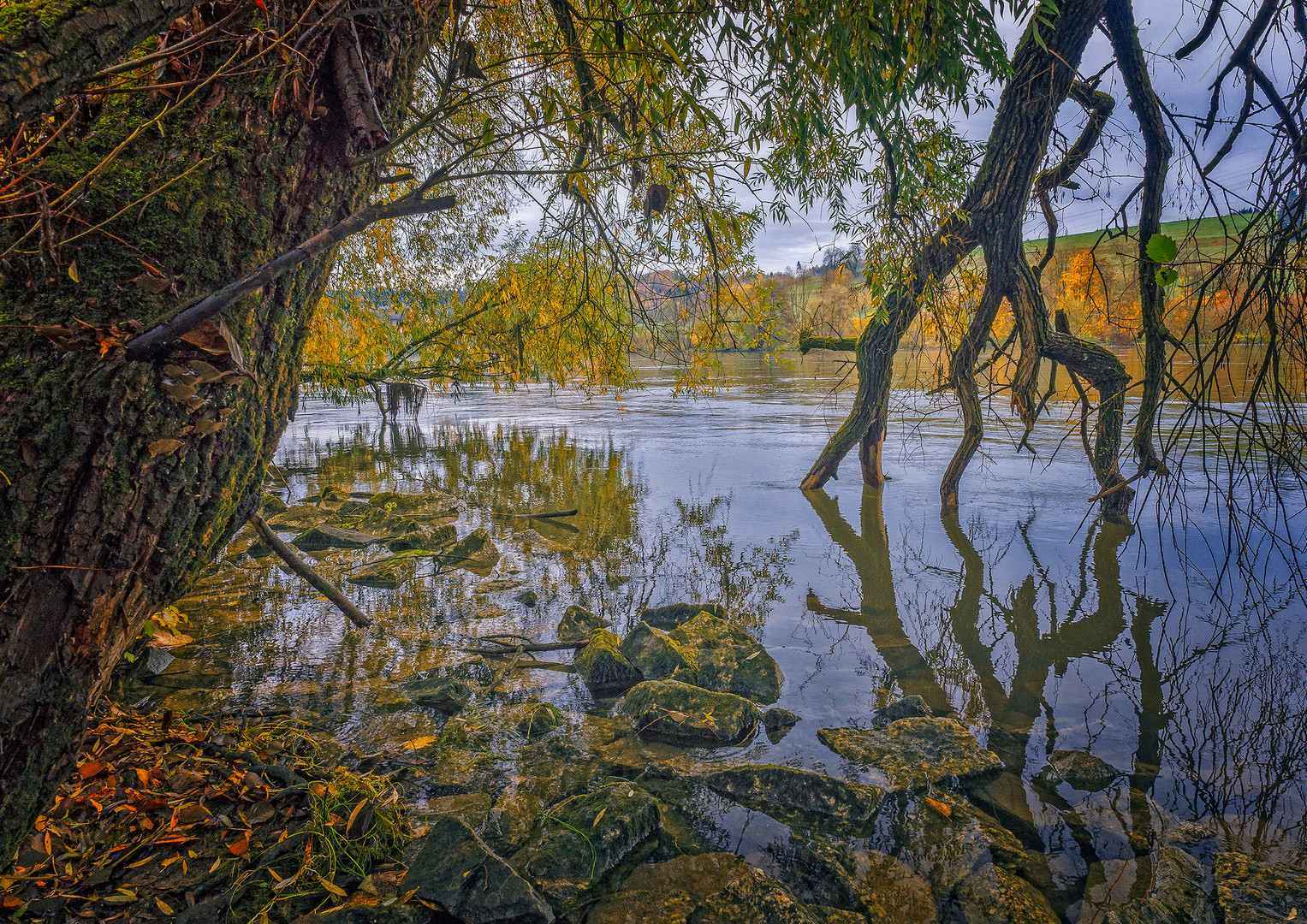 Herbst an der Donau