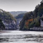 Herbst an der Donau