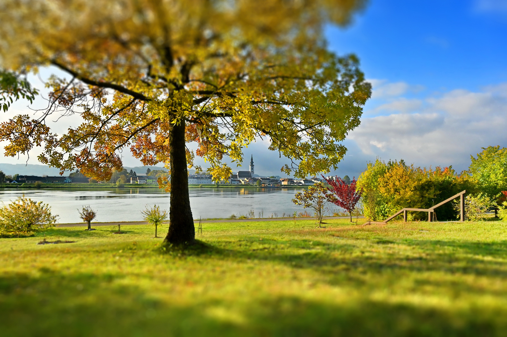 Herbst an der Donau 4. JPG