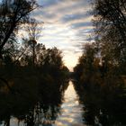 Herbst an der Donau