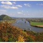 Herbst an der Donau