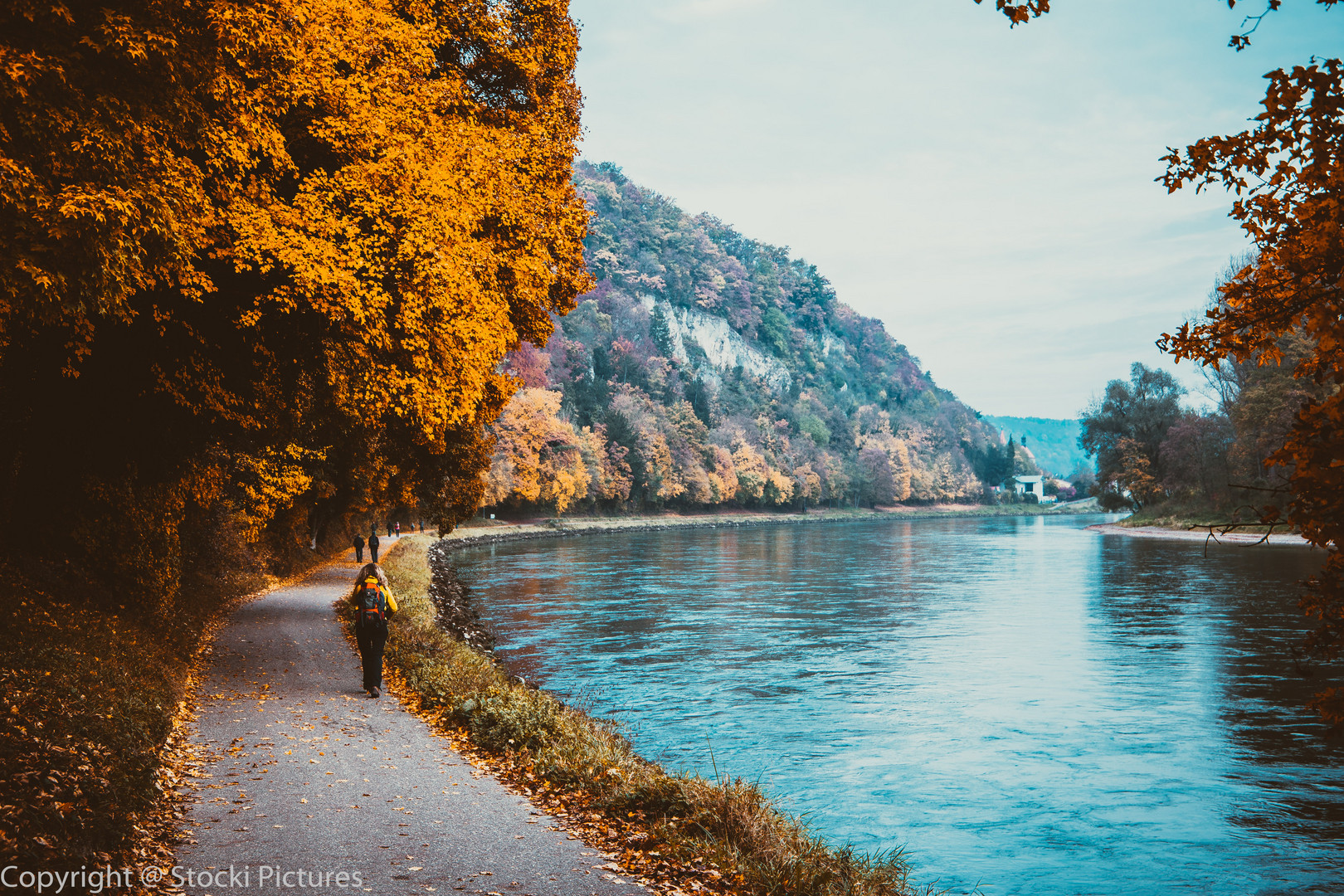 Herbst an der Donau