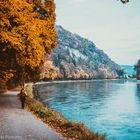 Herbst an der Donau