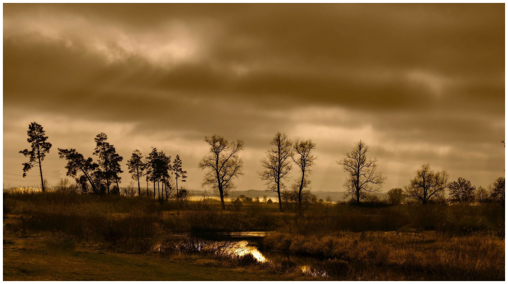 Herbst an der Donau