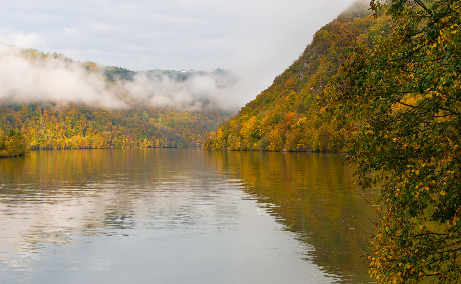 Herbst an der Donau