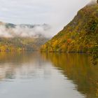 Herbst an der Donau