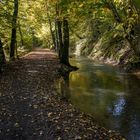 Herbst an der Düssel