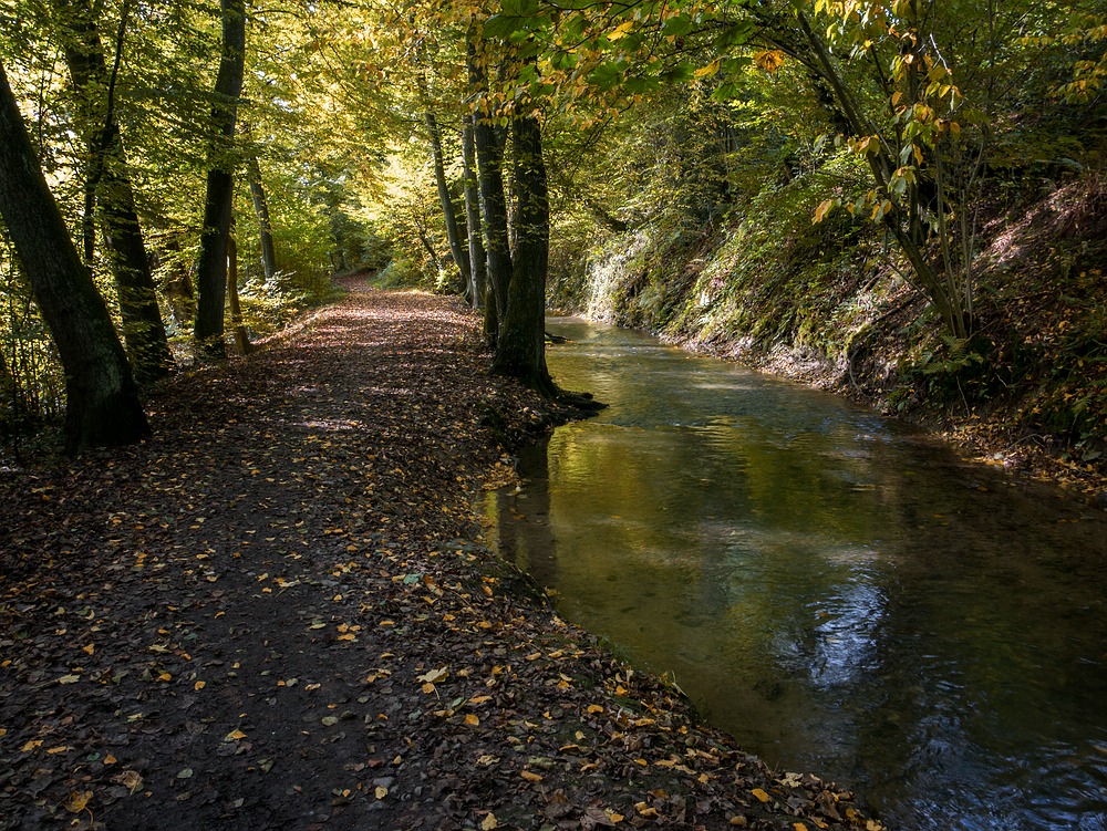 Herbst an der Düssel