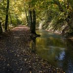 Herbst an der Düssel