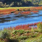 Herbst an der Eder 