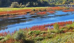 Herbst an der Eder 