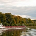 Herbst an der Elbe #2