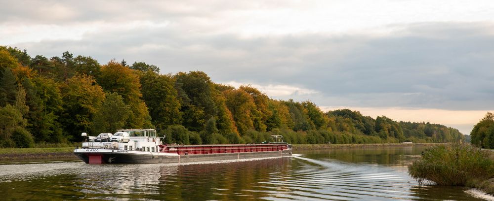 Herbst an der Elbe #2