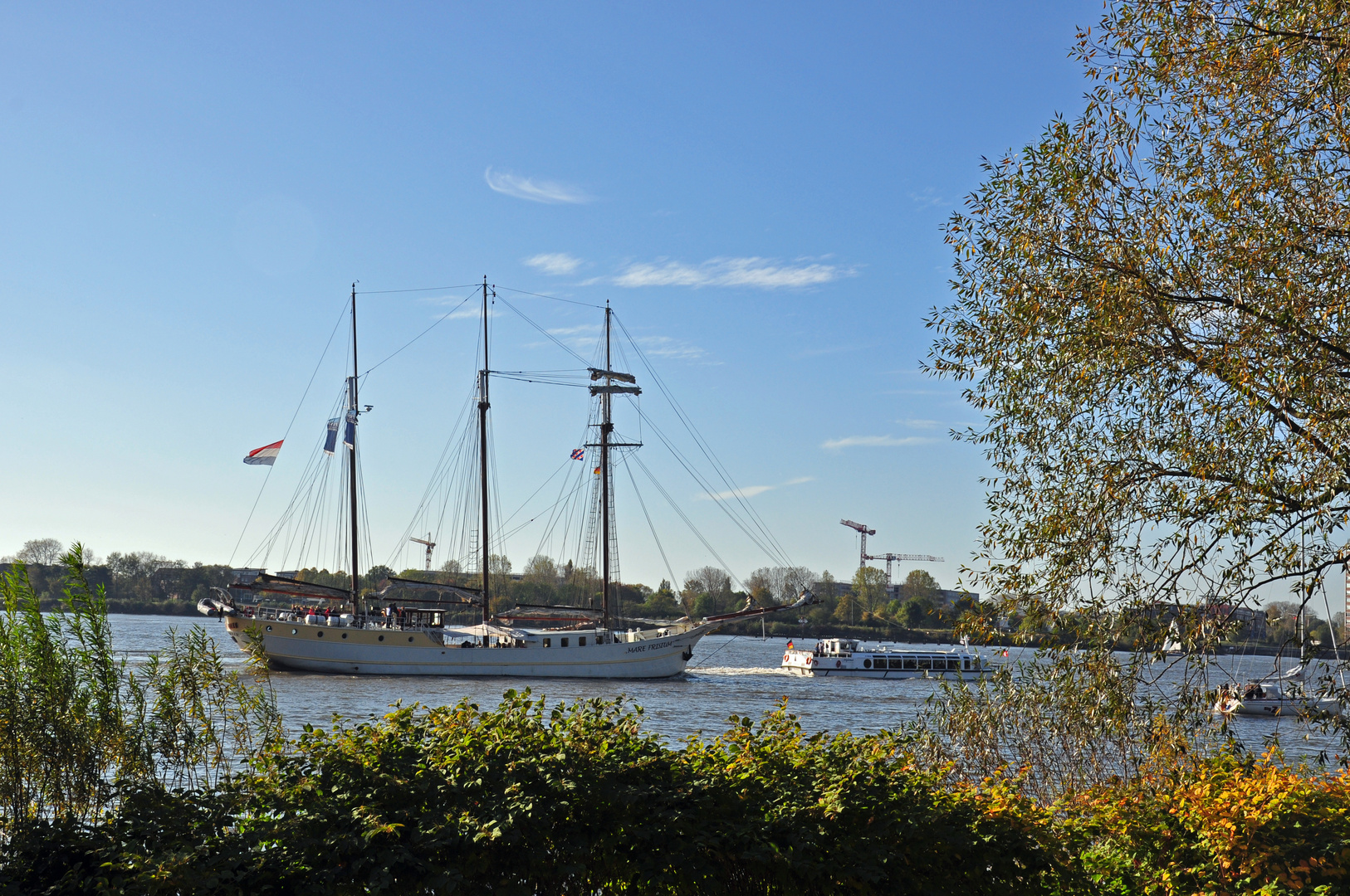 Herbst an der Elbe 2