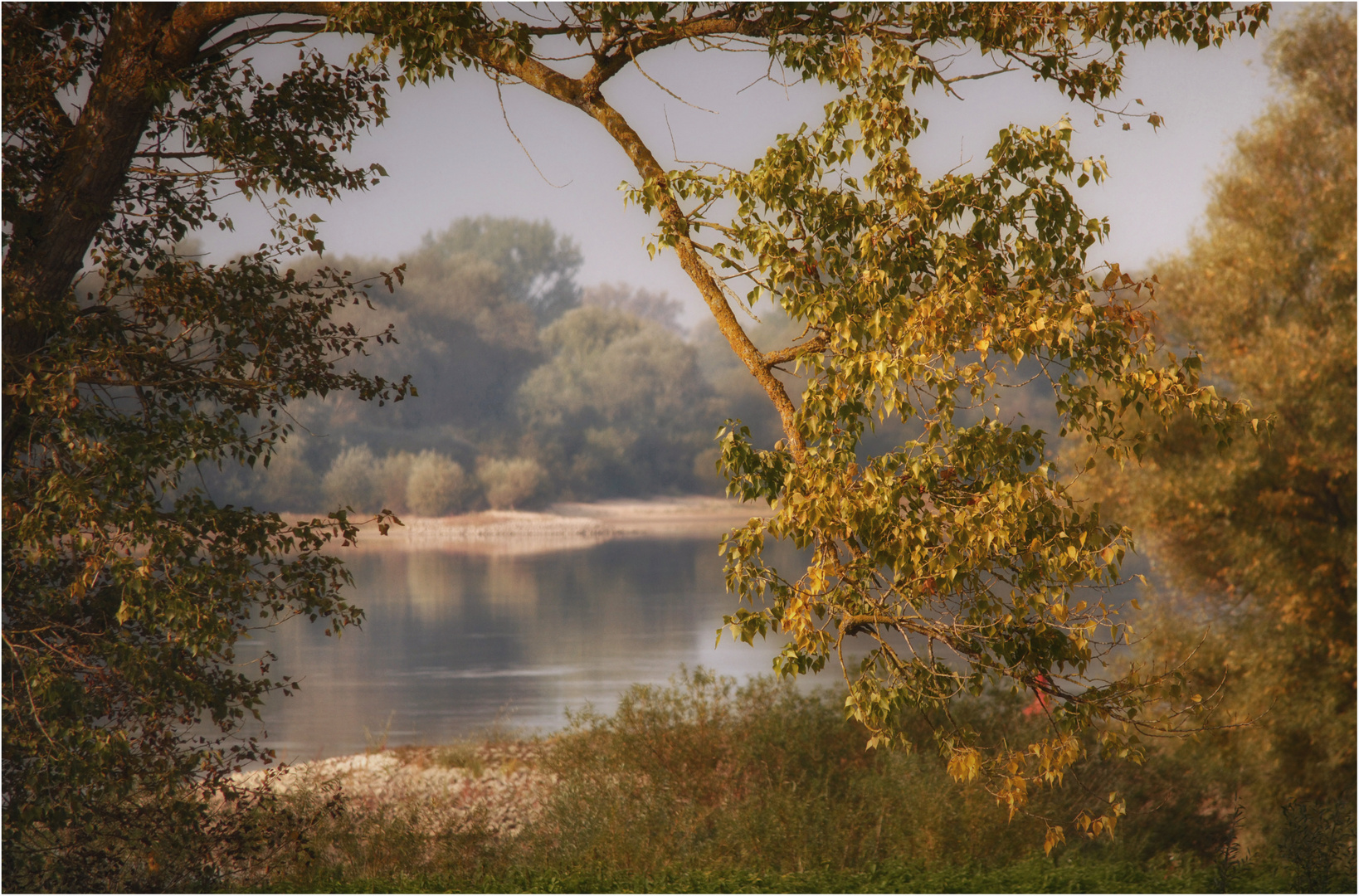 Herbst an der Elbe ....