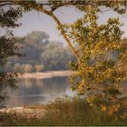 Herbst an der Elbe ....