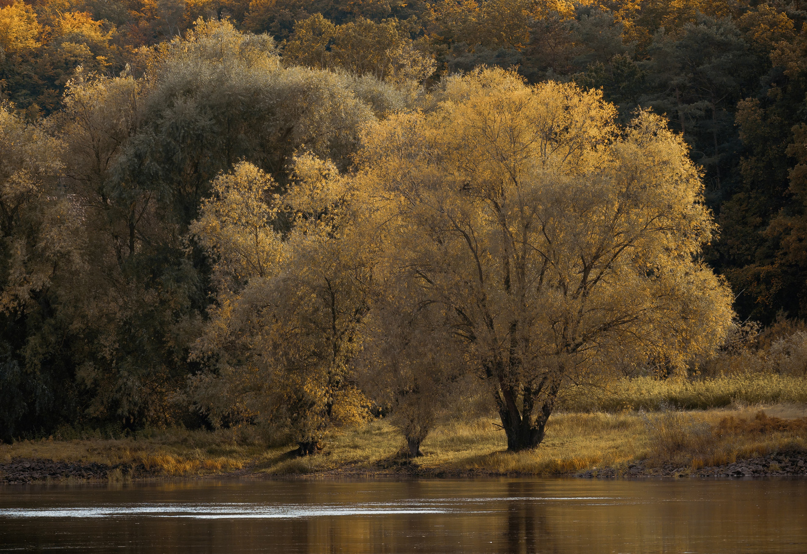 Herbst an der Elbe