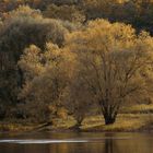 Herbst an der Elbe