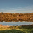 Herbst an der Elbe