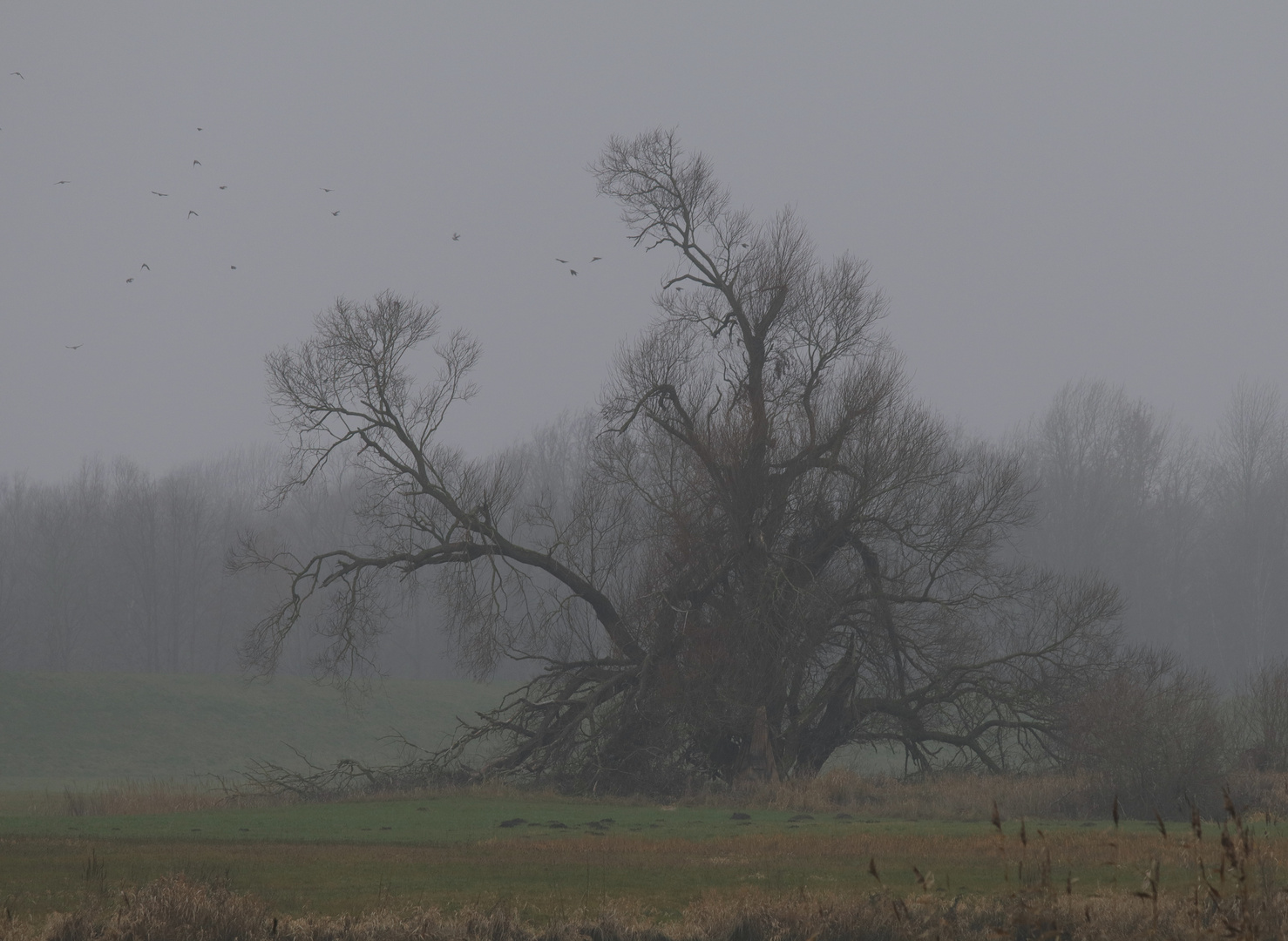 Herbst an der Elbe