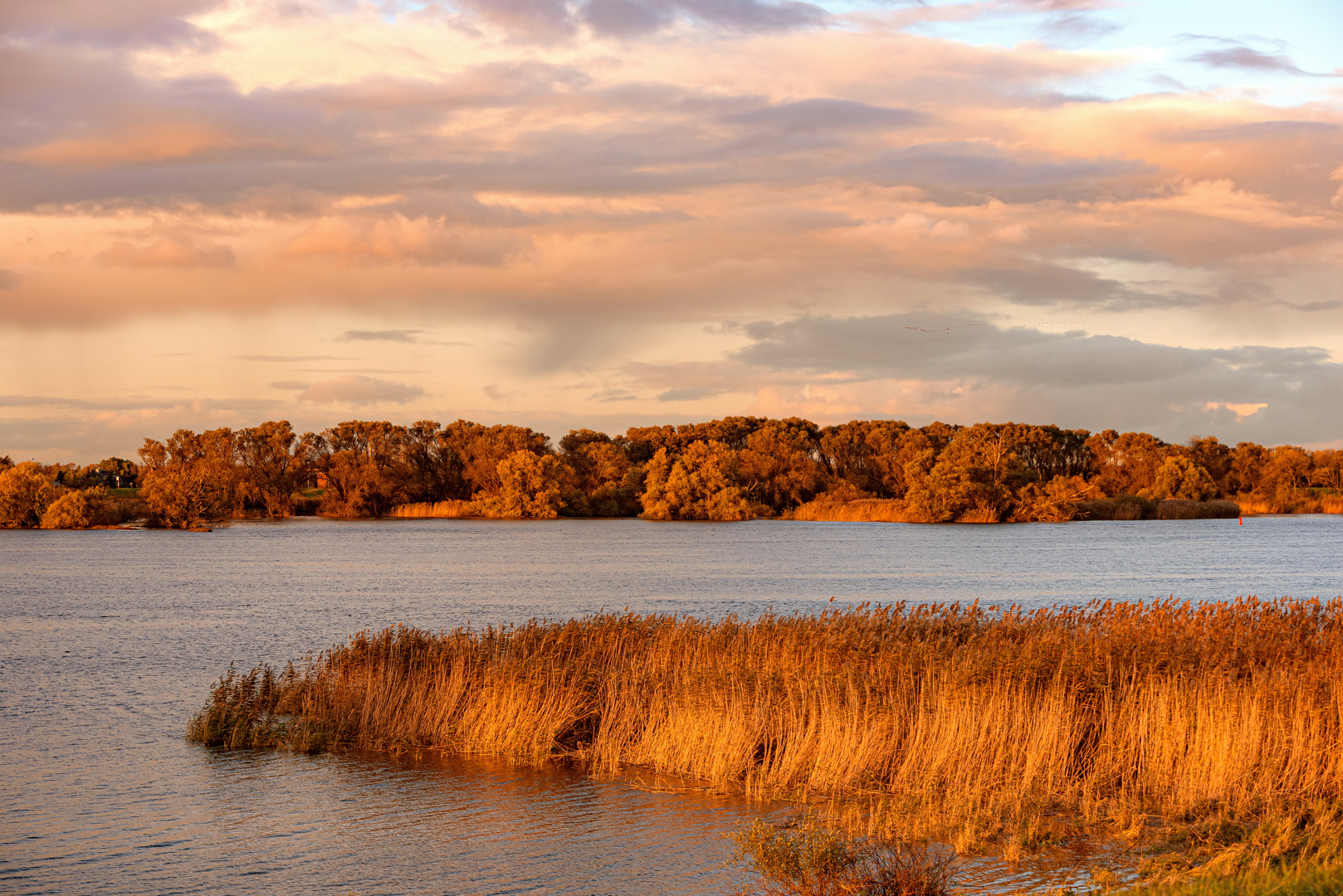 Herbst an der Elbe ...