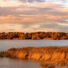 Herbst an der Elbe ...