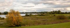 Herbst an der Elbe