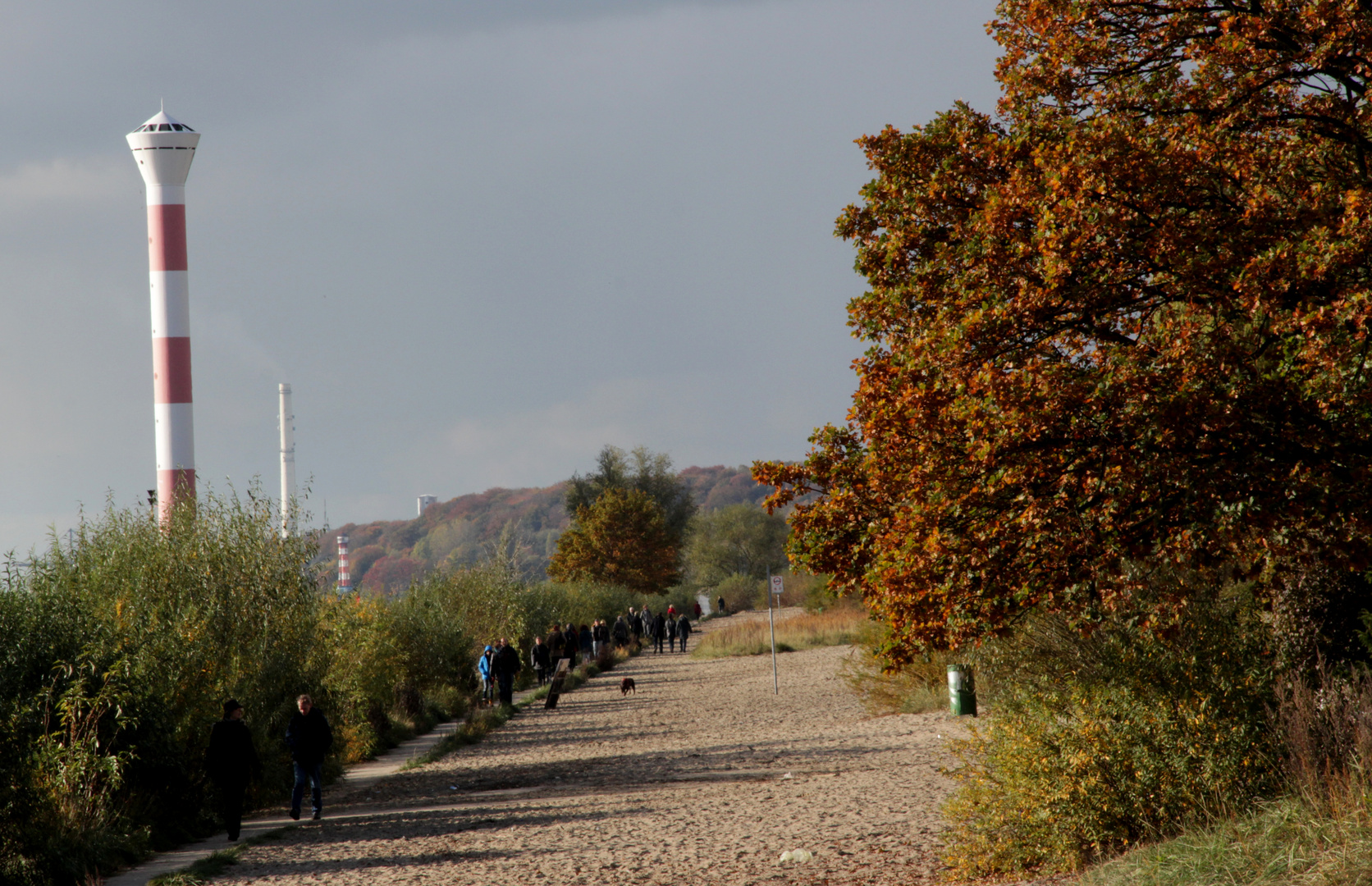 ...Herbst an der Elbe...