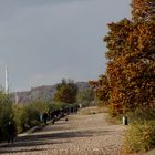 ...Herbst an der Elbe...