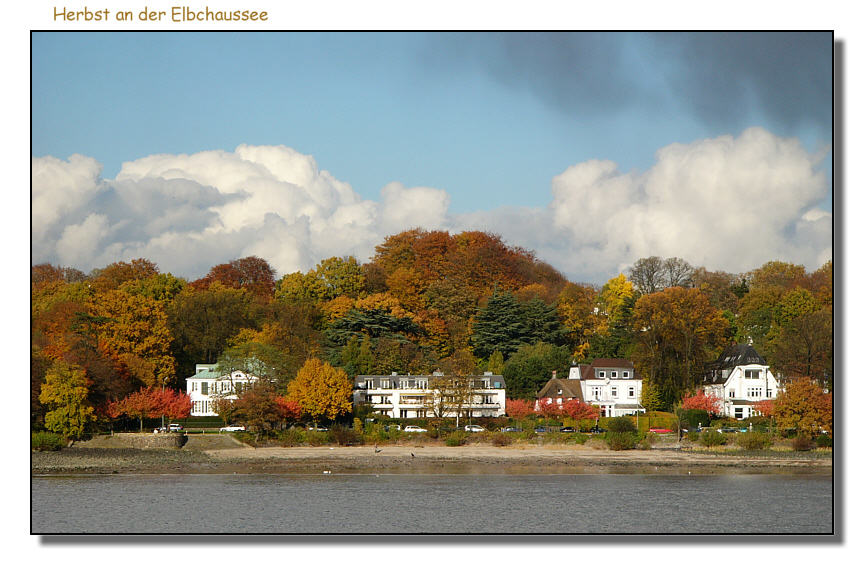 Herbst an der Elbe!