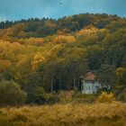 Herbst an der Elbe