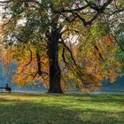 Herbst an der Elbe