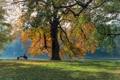 Herbst an der Elbe