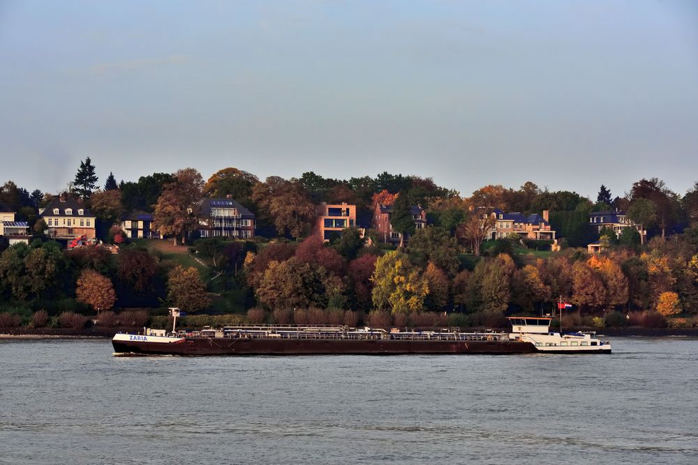 Herbst an der Elbe