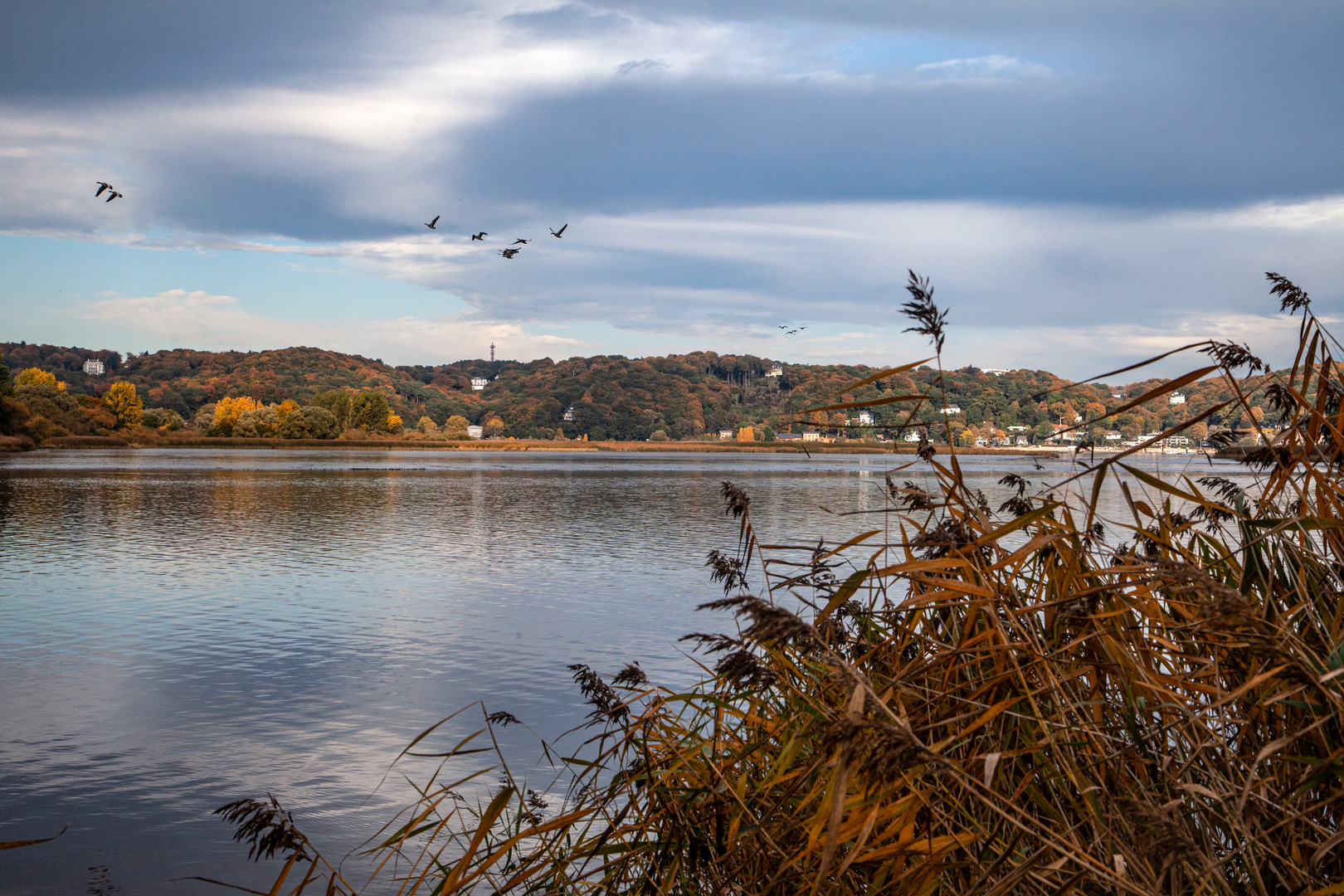 Herbst an der Elbe