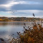 Herbst an der Elbe