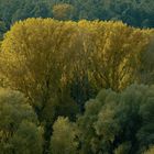 Herbst an der Elbe