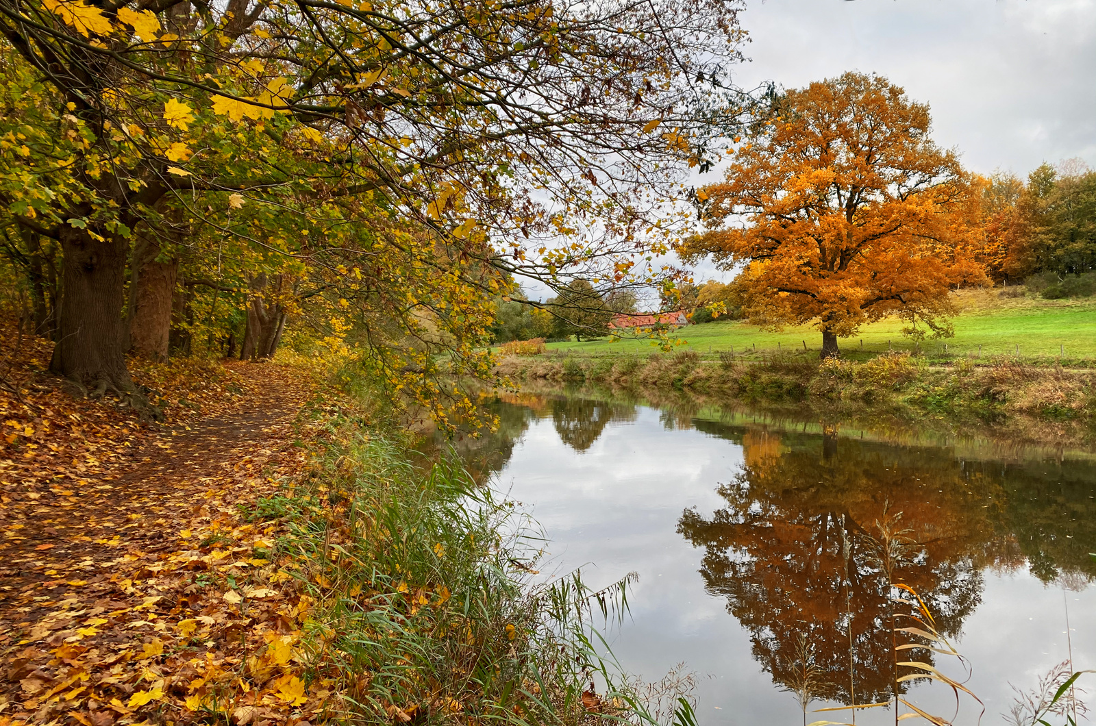 Herbst an der Ems