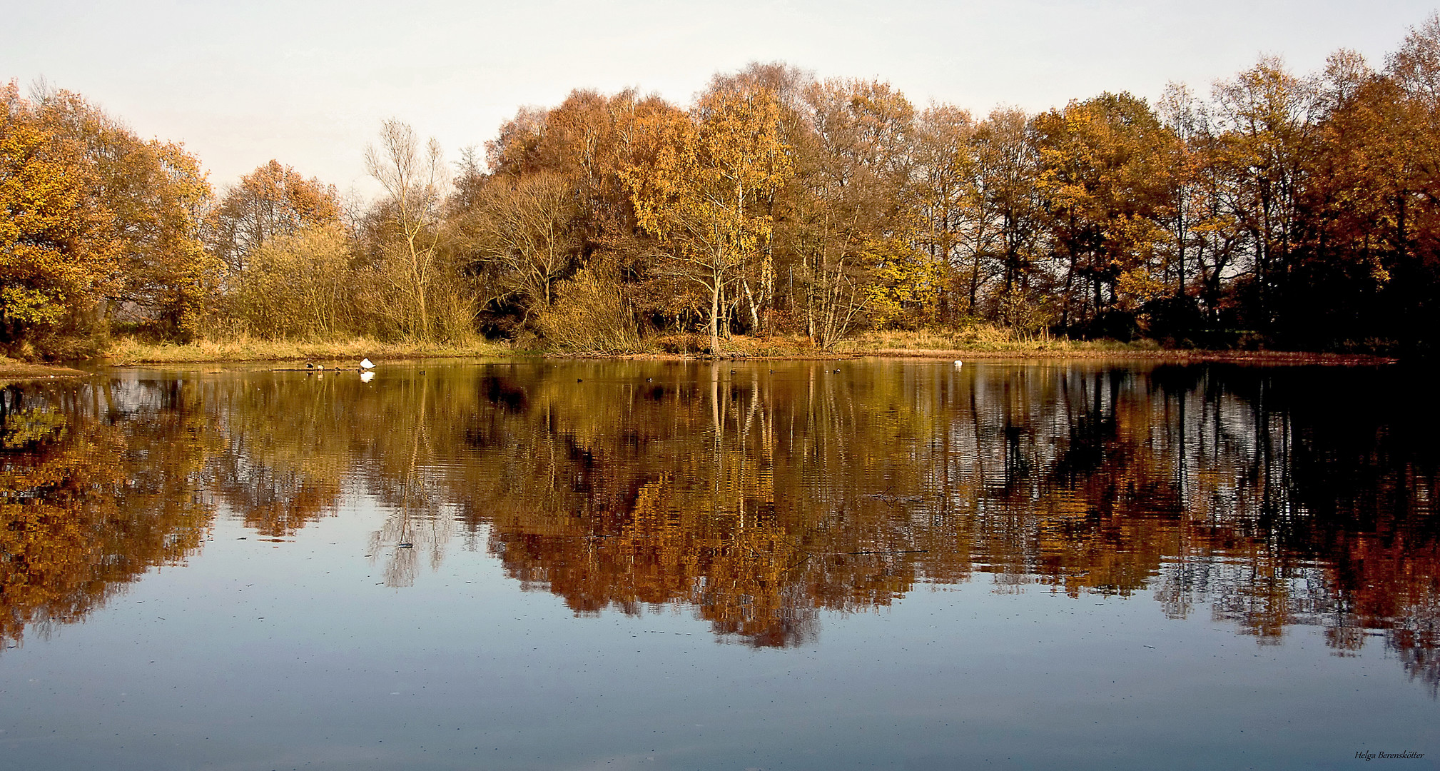 Herbst an der Ems