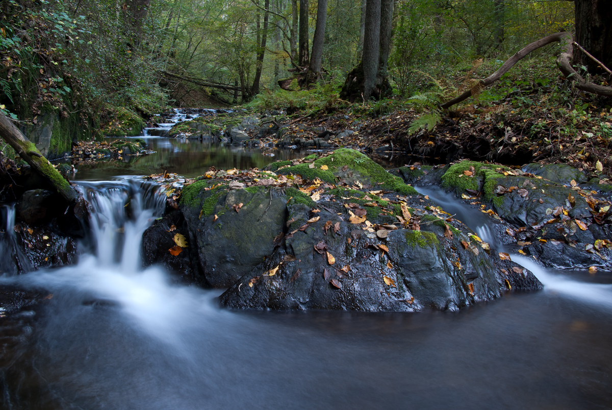 Herbst an der Endert