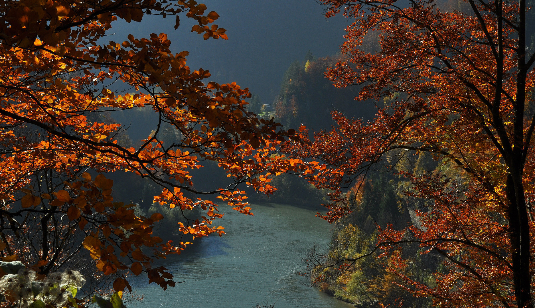 Herbst an der Enns