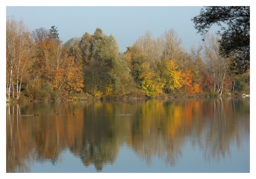 Herbst an der Enns