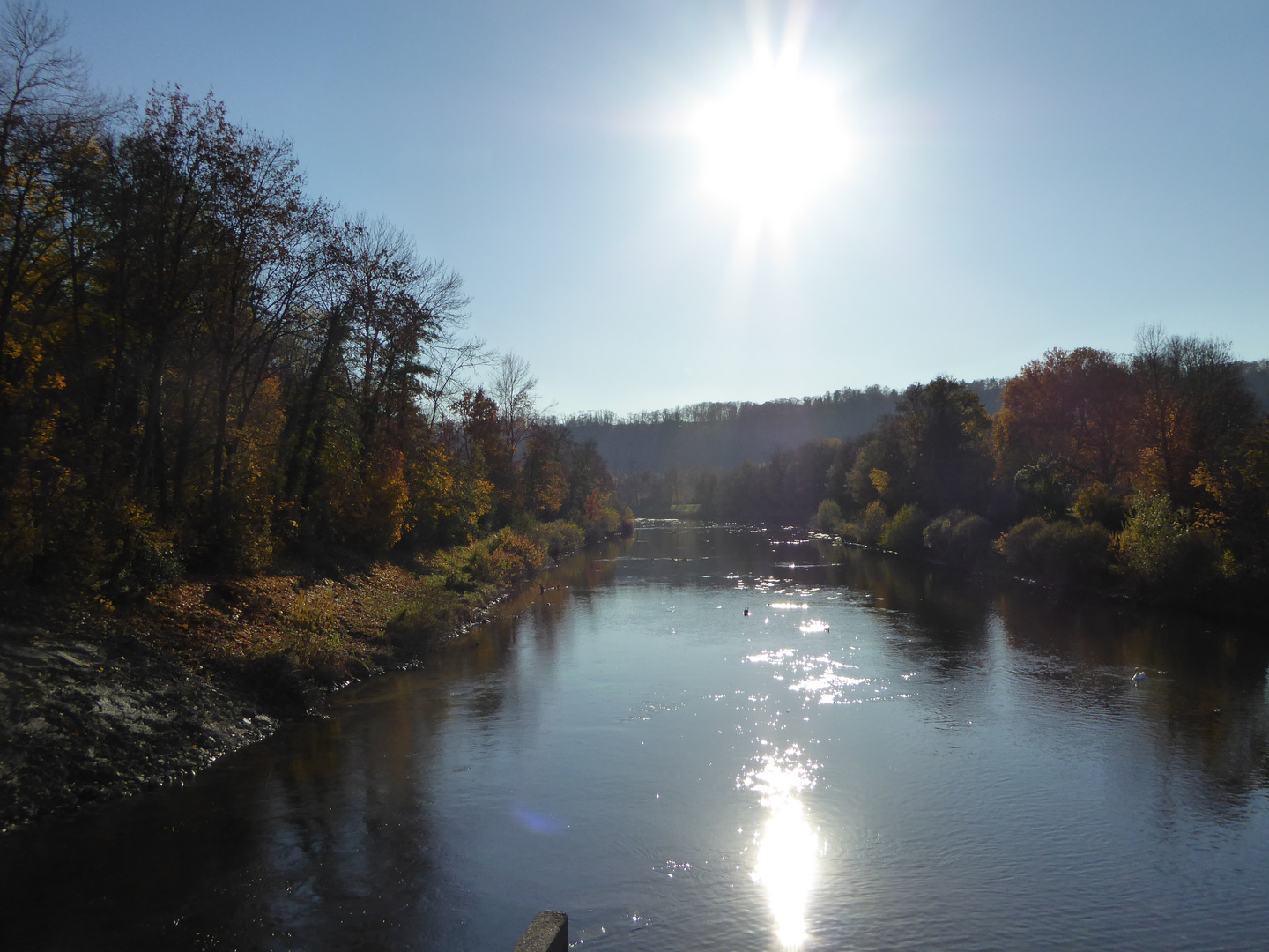 Herbst an der Enz