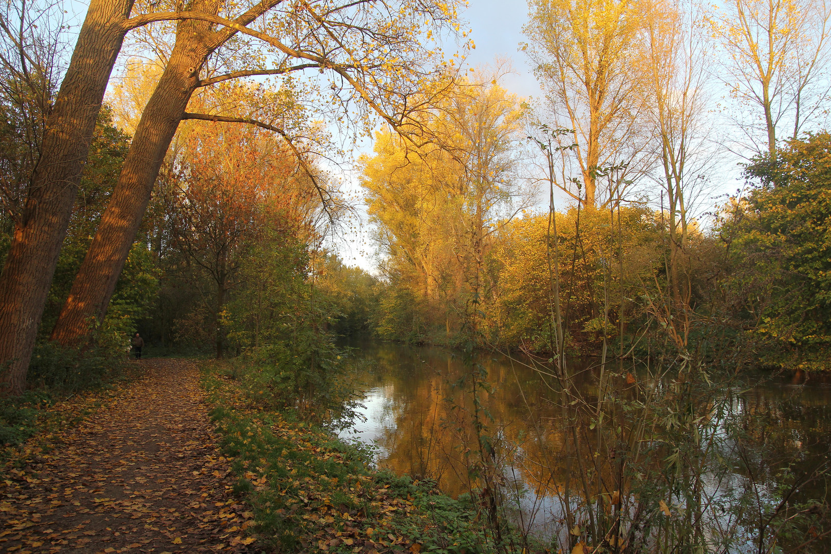 Herbst an der Erft