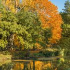 Herbst an der Erft