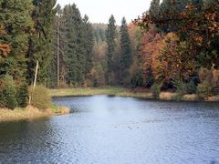 Herbst an der Eschbachtalsperre in Remscheid