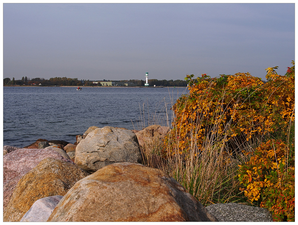 Herbst an der Förde