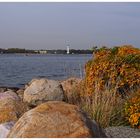 Herbst an der Förde