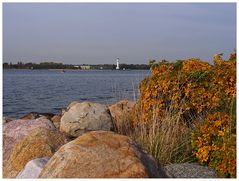 Herbst an der Förde