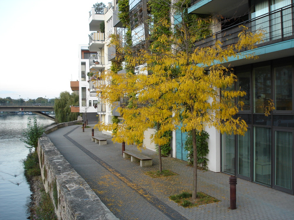 Herbst an der Fulda